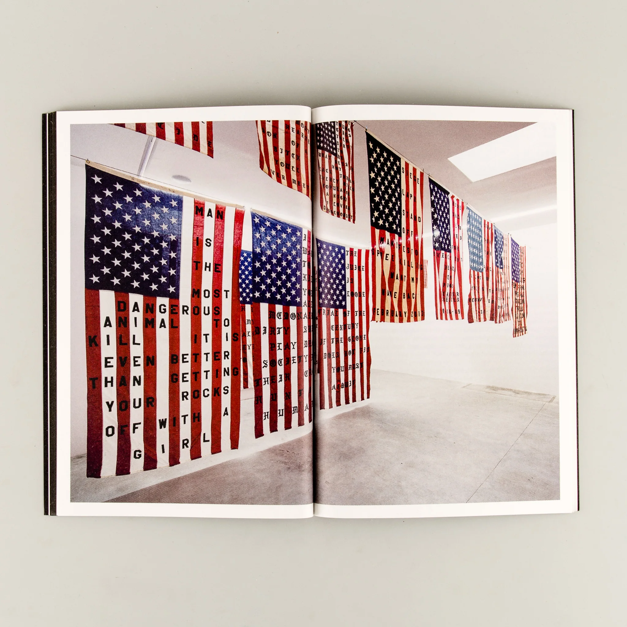 29 Flags - Image 5