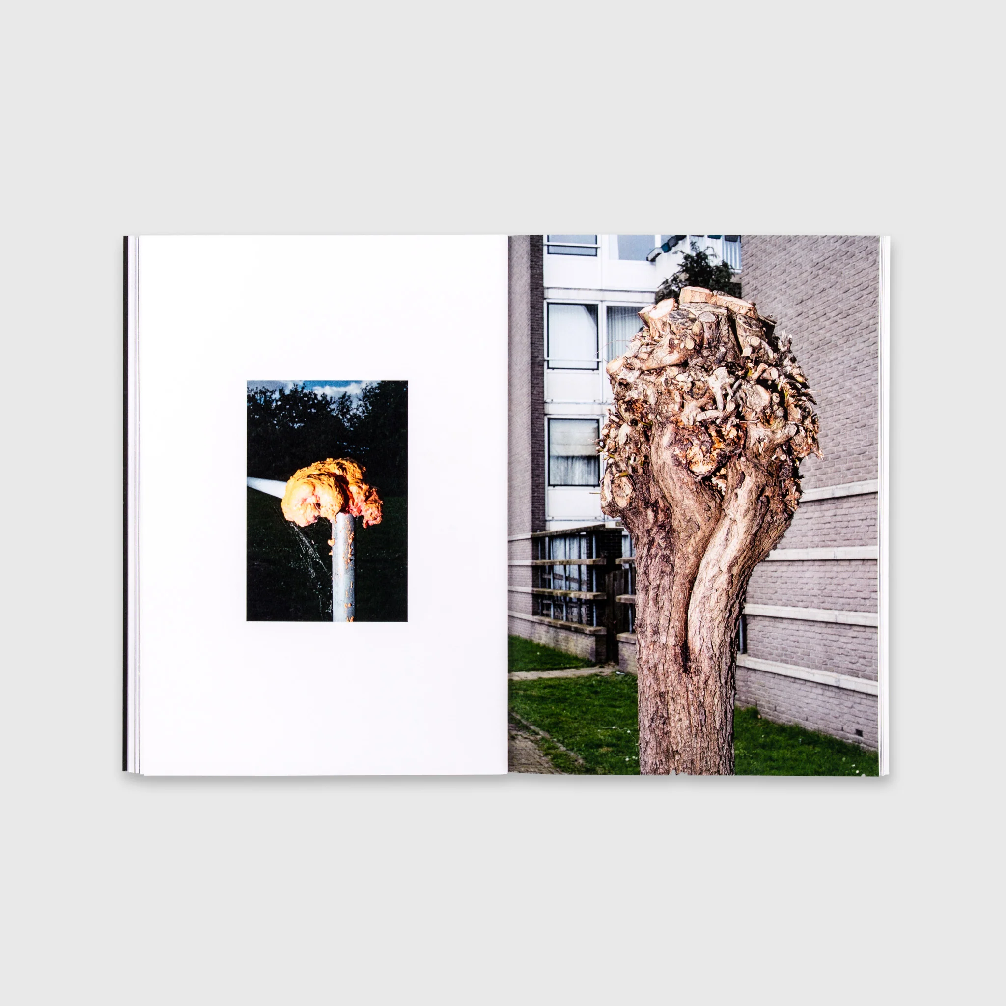 Beings - Image 7