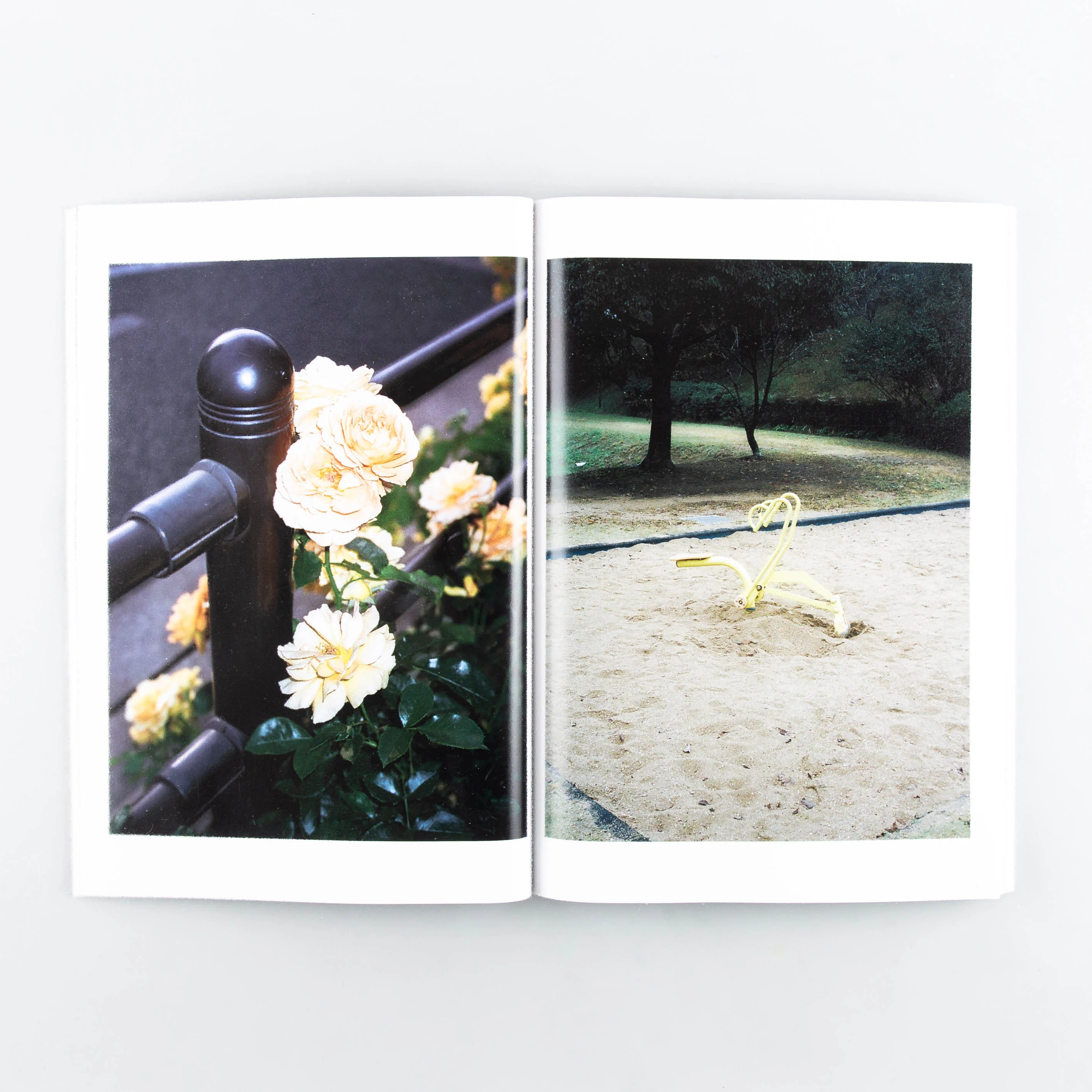 City of Roses - Image 2