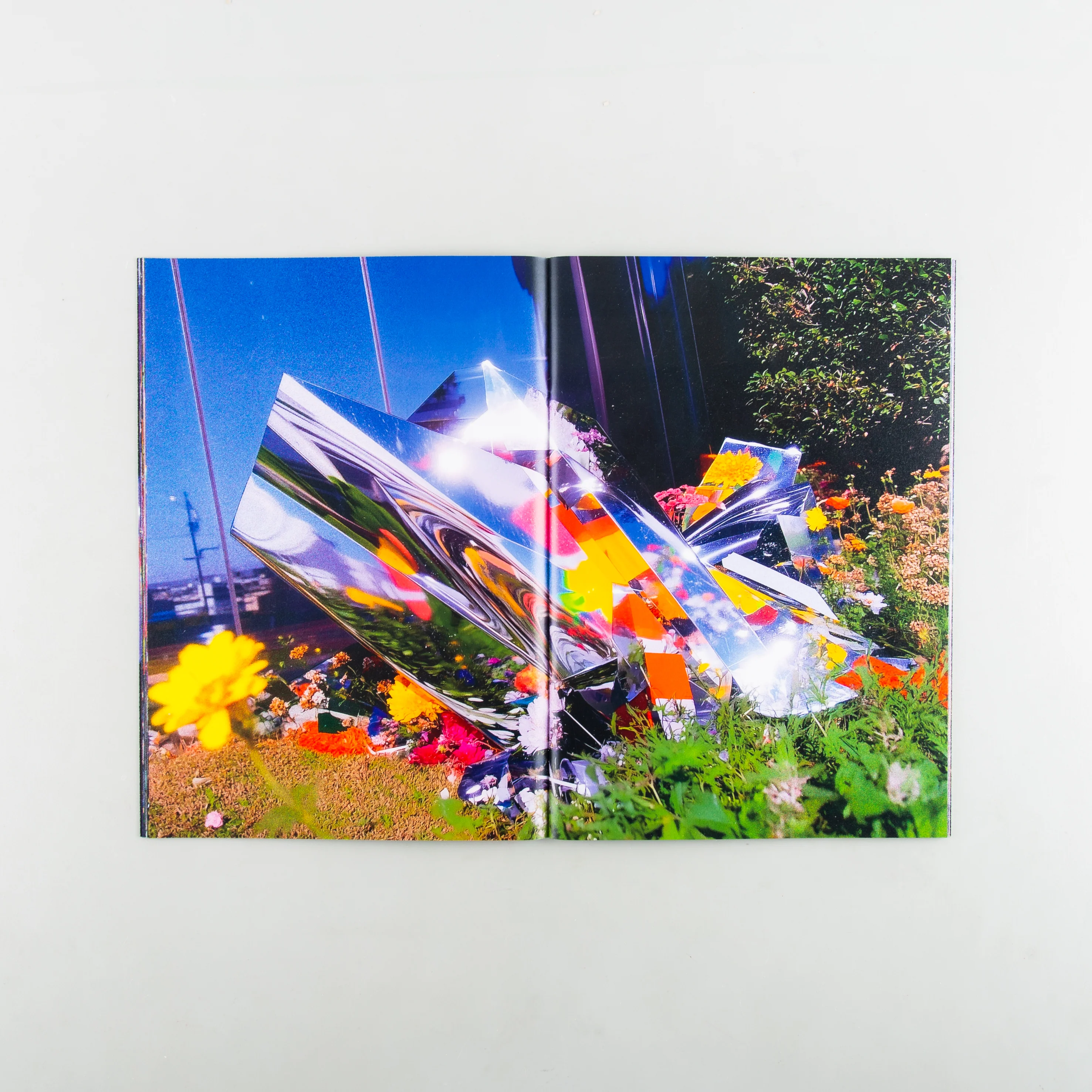 FLOWERS - Image 5