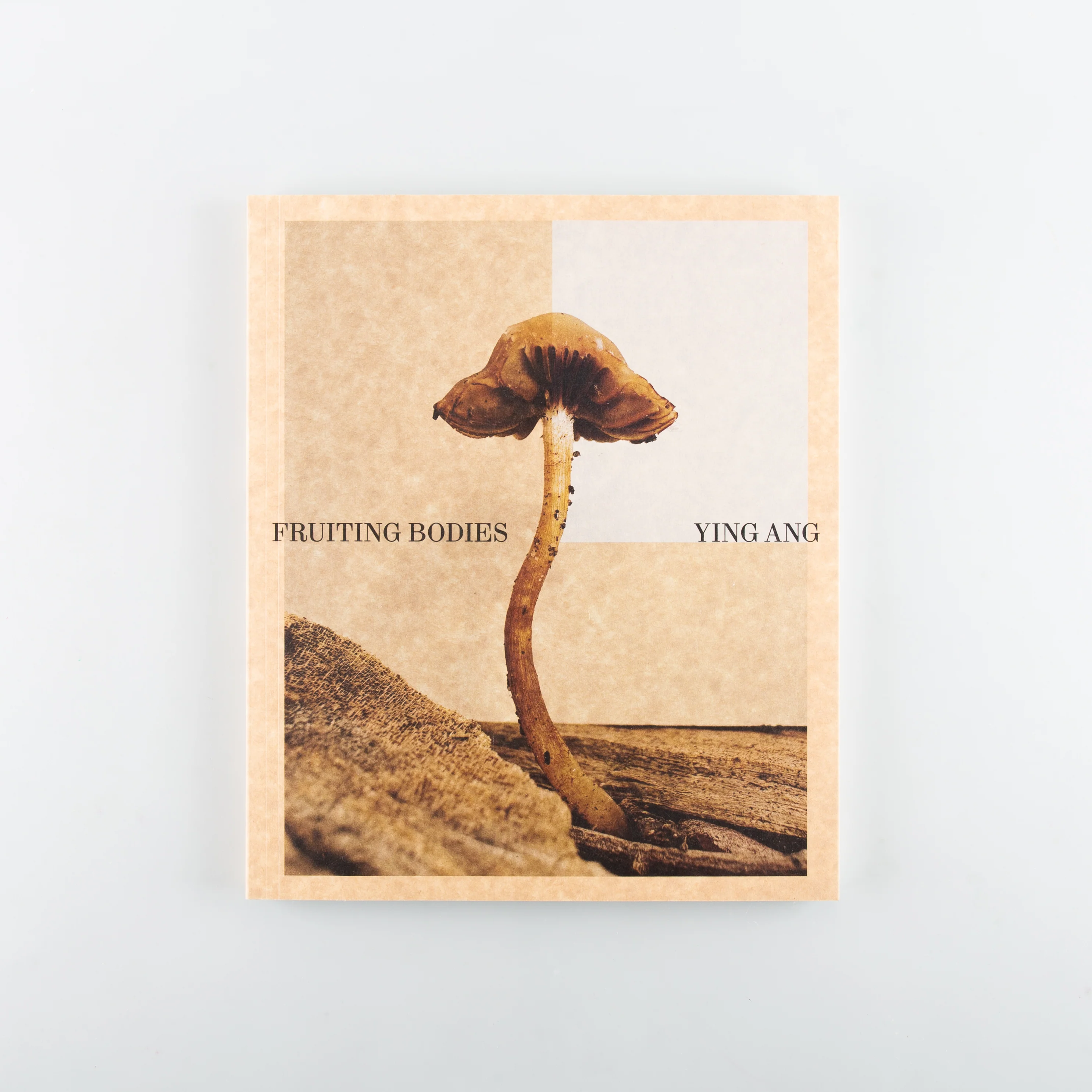 Fruiting Bodies