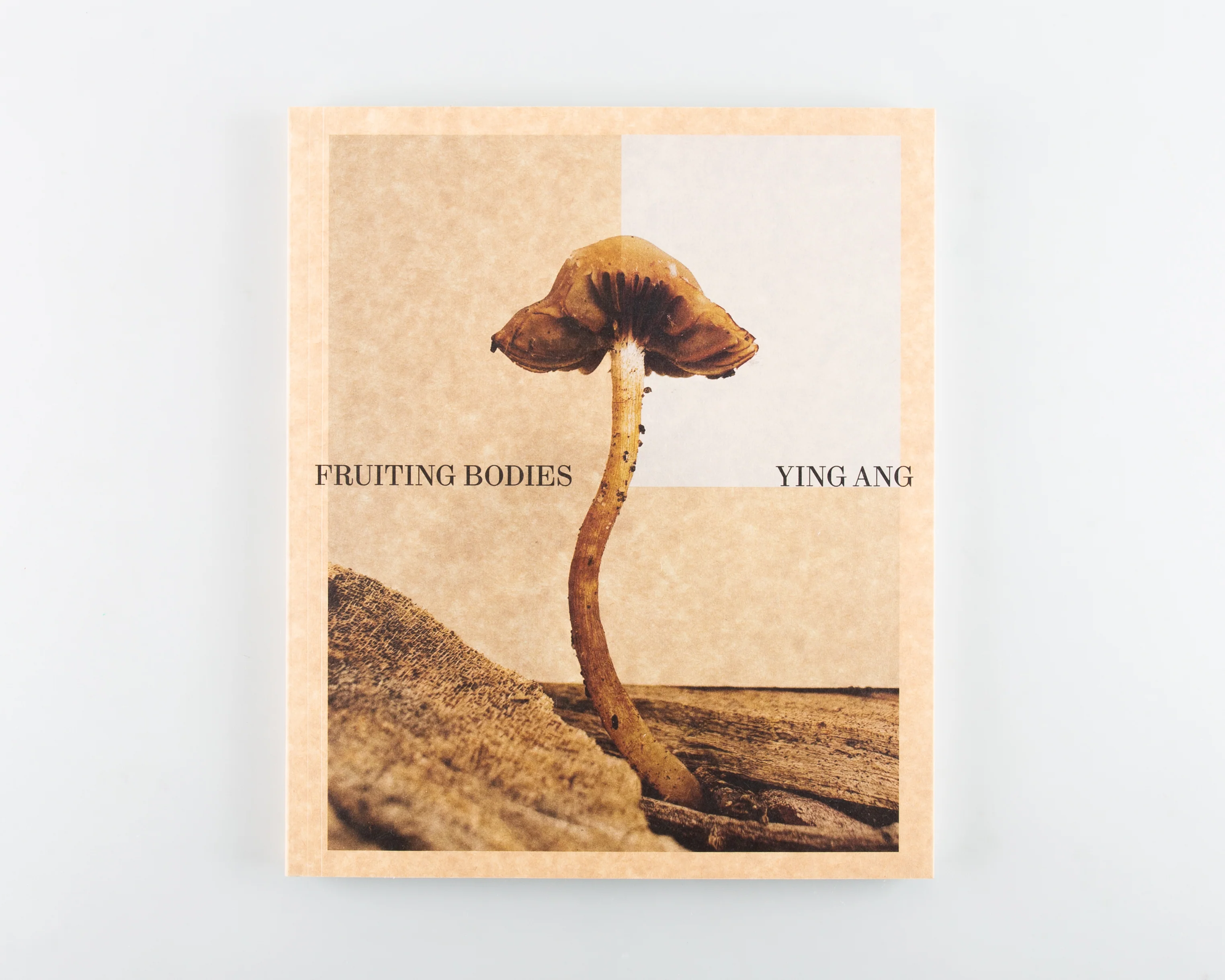Fruiting Bodies - Image 2