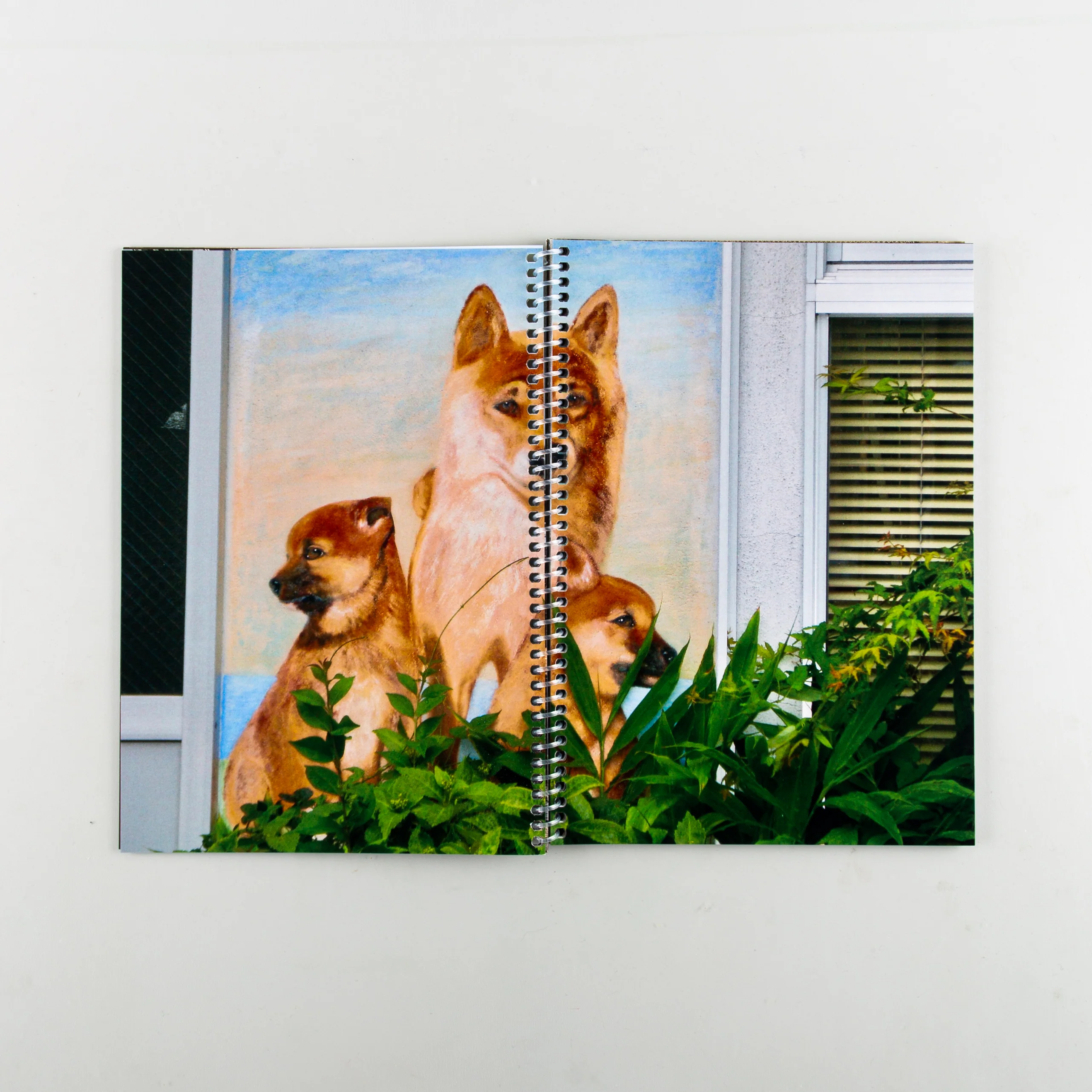 (Hello, it's me) - Image 10