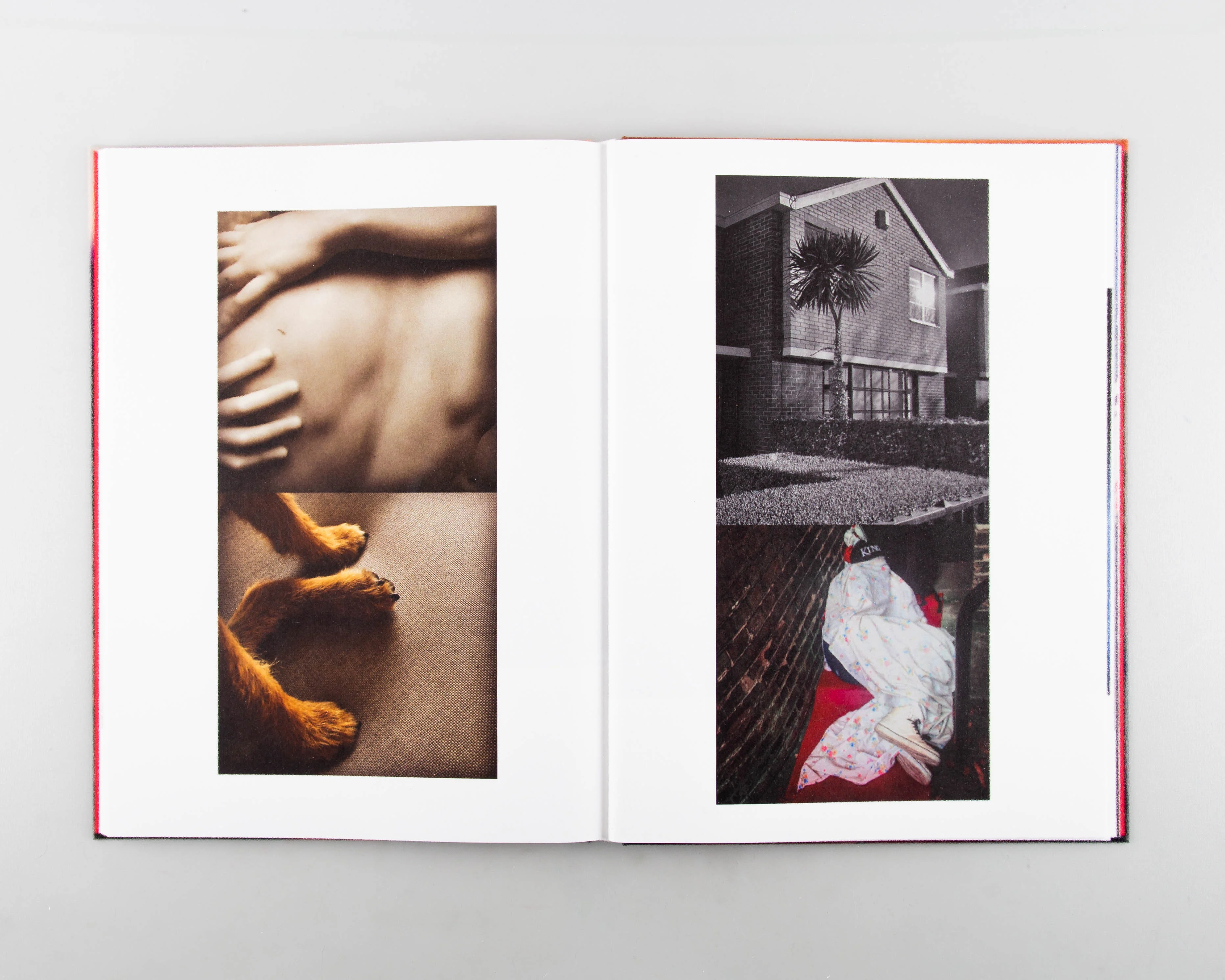 Impermanence - Image 7