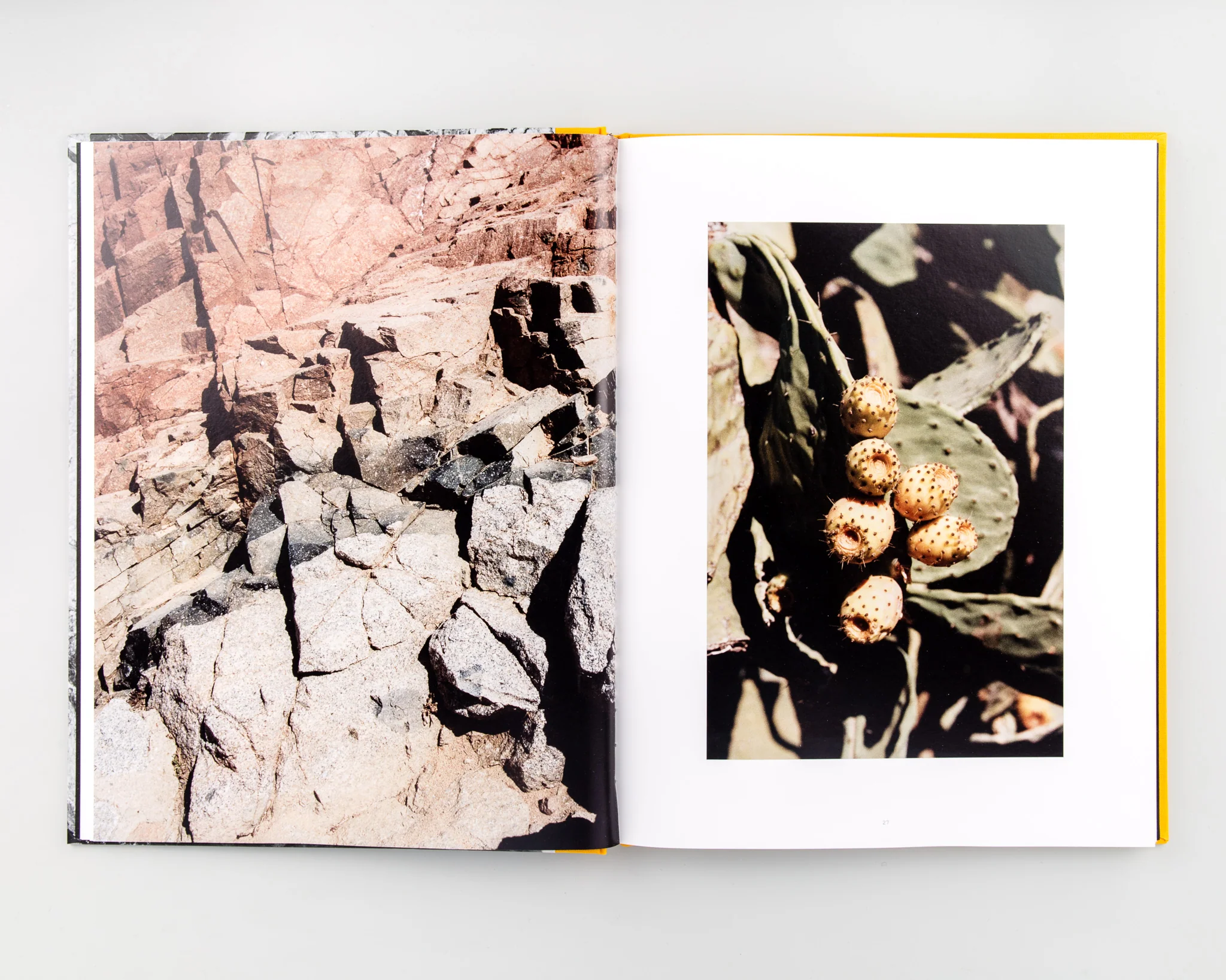 Palm Book - Image 4