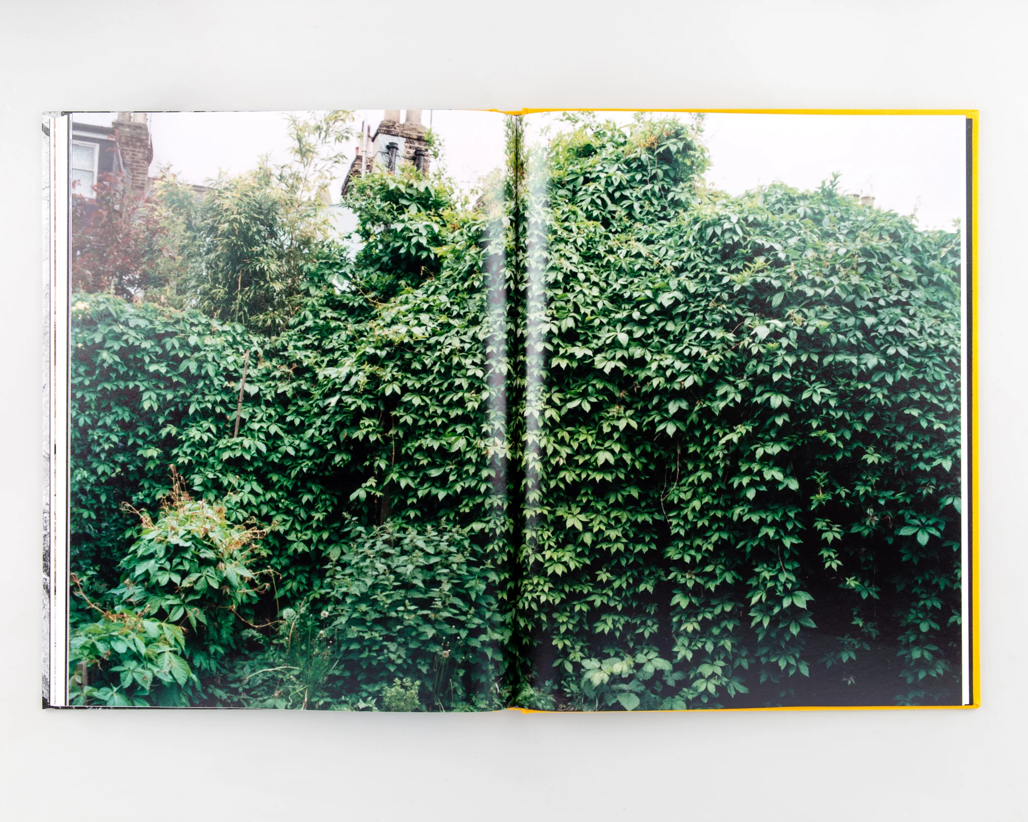 Palm Book - Image 7