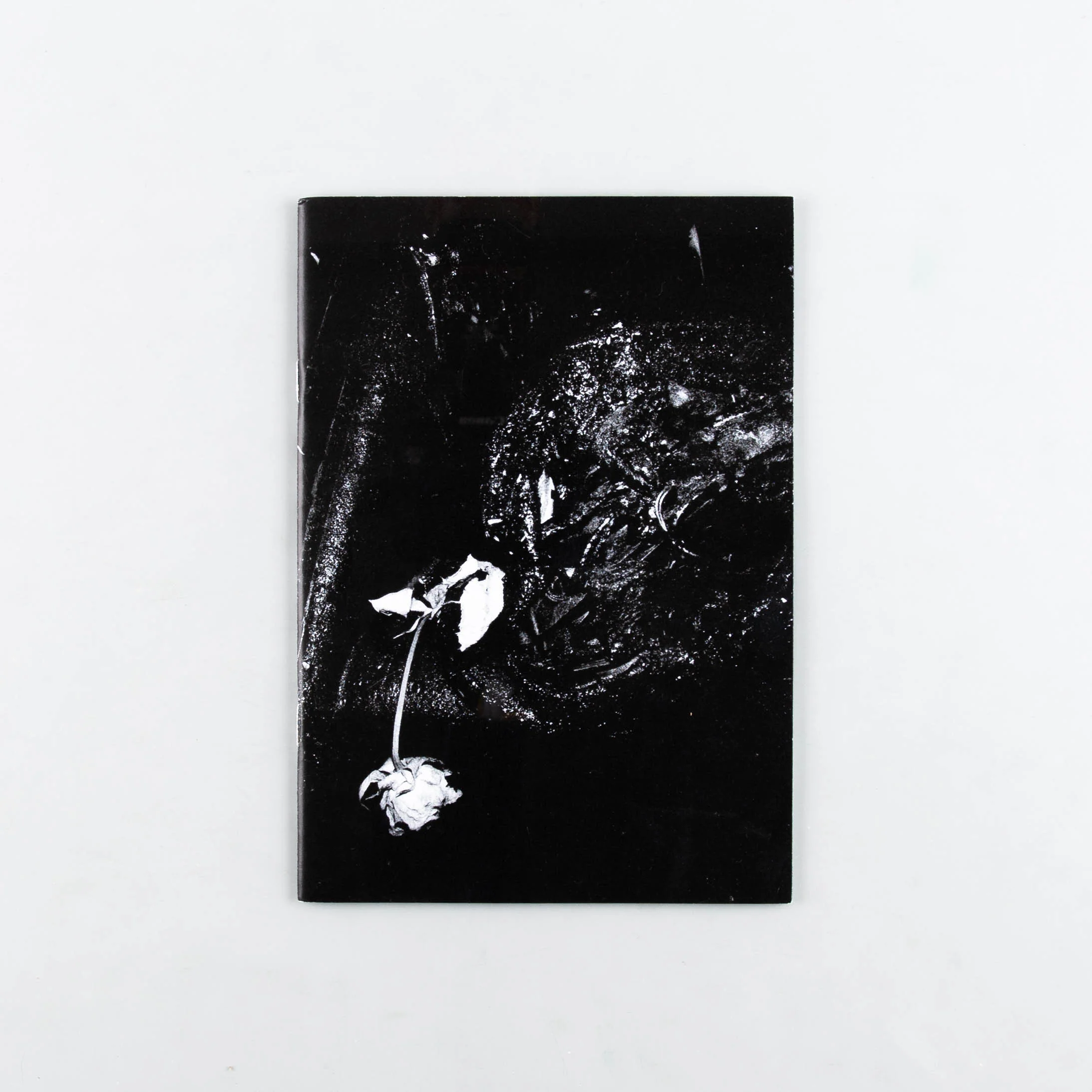 Pathology of Ruin: A Clinical Exploration of Berlin's Burned Automobiles