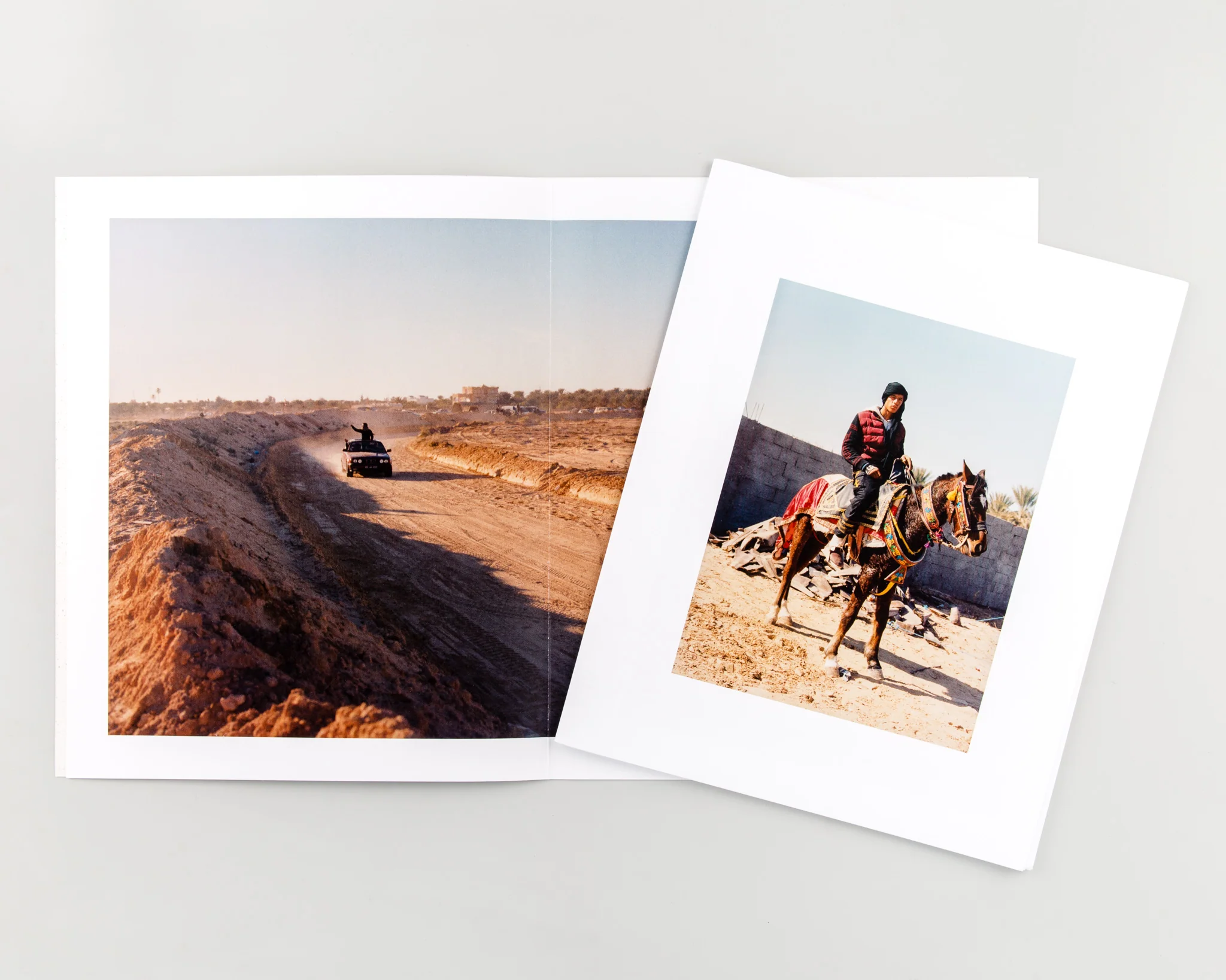 Rose of the Desert - Image 3