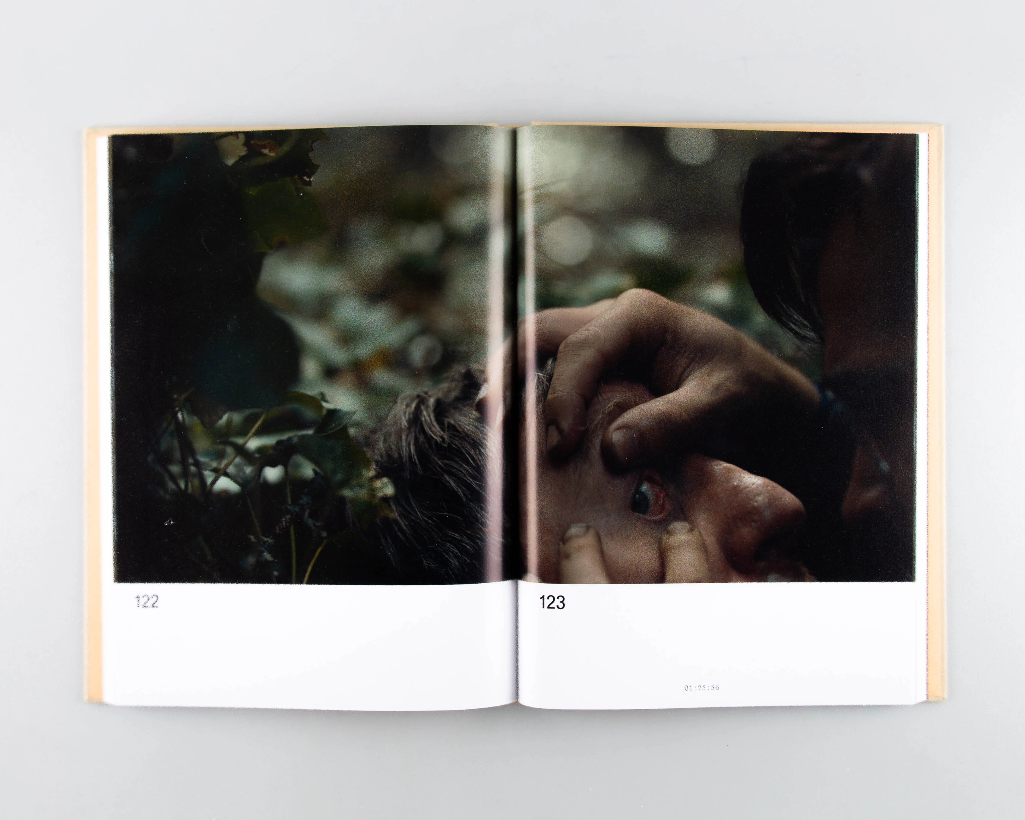 The Lobster Screenplay Book - Image 2