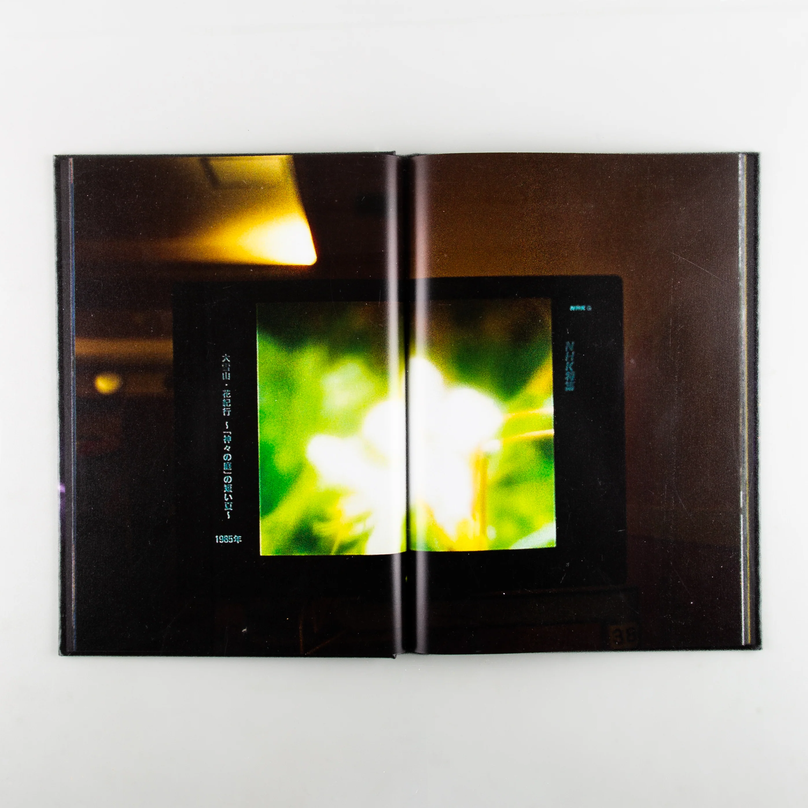 The Microcosm in Memory - Image 4