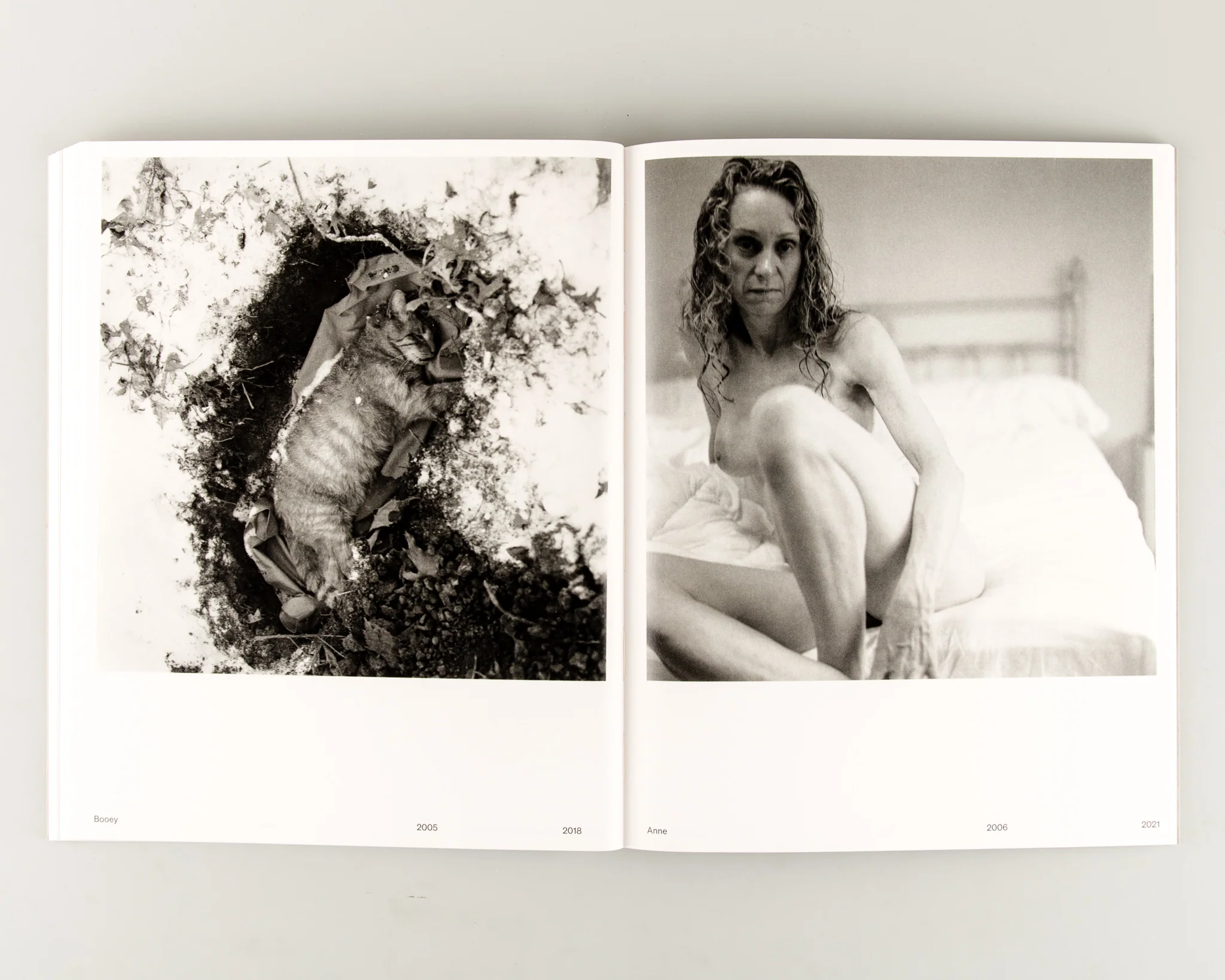 The Model Family - Image 11