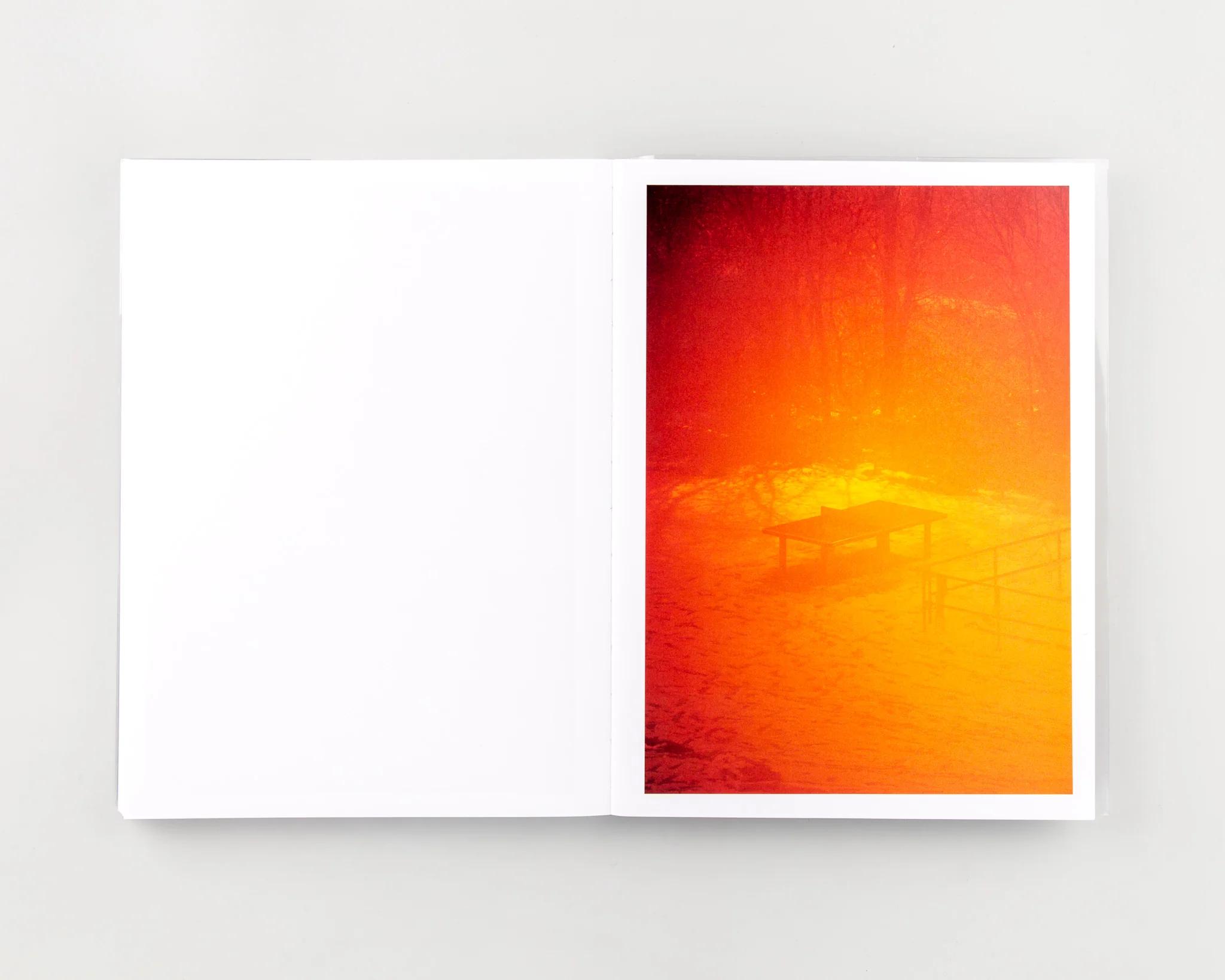 TTP (SIGNED) - Image 11